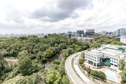 Normanton Park (D5), Apartment #527441401